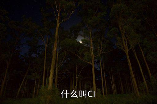 ci，什么叫CI