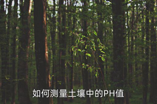 如何測量土壤中的PH值
