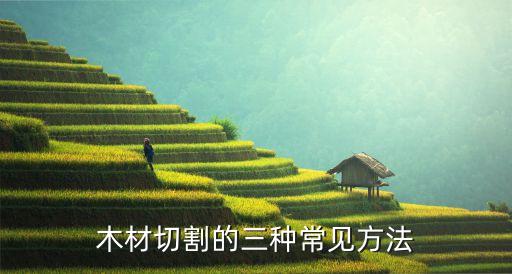 木材清邊機械自動化設備,自動化設備包括哪些?