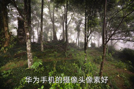 華為手機的攝像頭像素好