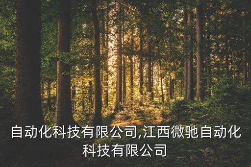 微能自動(dòng)化科技有限公司,江西微馳自動(dòng)化科技有限公司