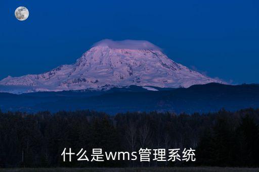 什么是wms管理系統(tǒng)