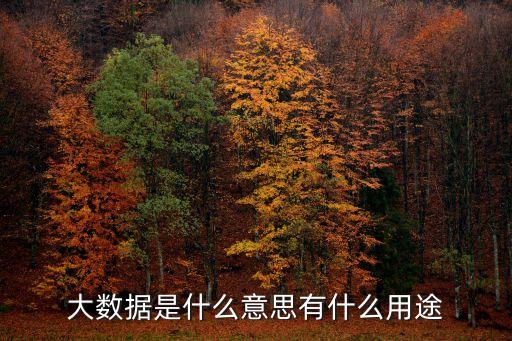 大數(shù)據(jù)是什么意思有什么用途