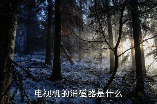 電視機的消磁器是什么
