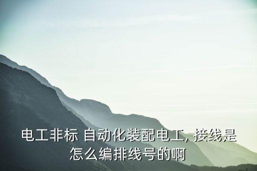 電工非標 自動化裝配電工, 接線是怎么編排線號的啊