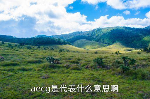 aigc是什么意思啊，aecg是代表什么意思啊