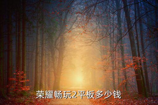 榮耀暢玩2平板多少錢