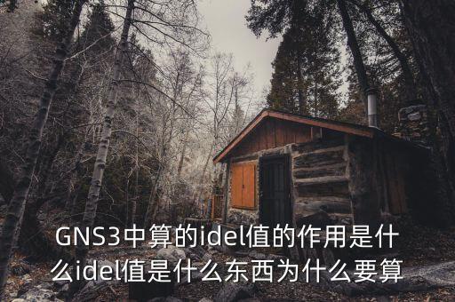GNS3中算的idel值的作用是什么idel值是什么東西為什么要算