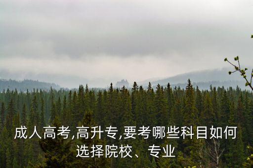 成人高考,高升專,要考哪些科目如何選擇院校、專業(yè)
