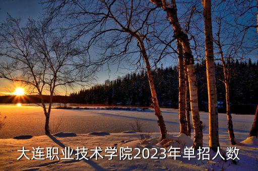大連職業(yè)技術(shù)學(xué)院2023年單招人數(shù)