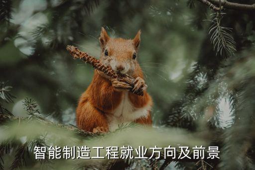 智能制造工程就業(yè)方向及前景