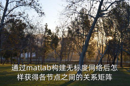 通過matlab構(gòu)建無標(biāo)度網(wǎng)絡(luò)后怎樣獲得各節(jié)點(diǎn)之間的關(guān)系矩陣