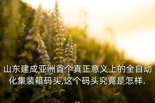 山東省自動化碼頭有限公司,山東自動化設(shè)備公司有哪些?
