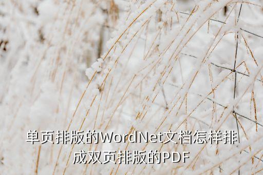 單頁排版的WordNet文檔怎樣排成雙頁排版的PDF