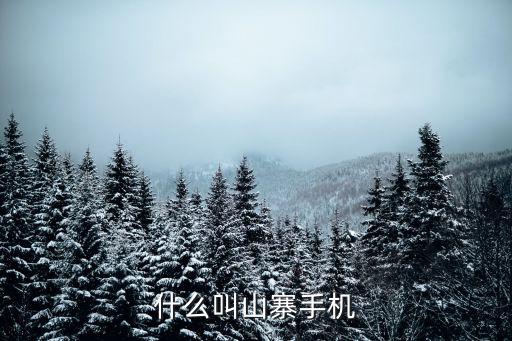 什么叫山寨手機