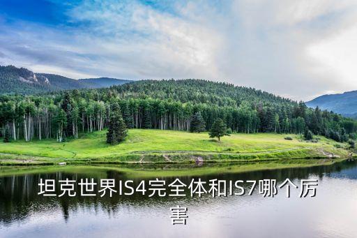 坦克世界IS4完全體和IS7哪個(gè)厲害