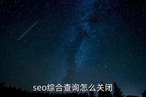 seo綜合查詢怎么關(guān)閉