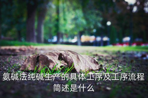 npi流程，簡(jiǎn)述ERP系統(tǒng)的實(shí)施程序與步驟