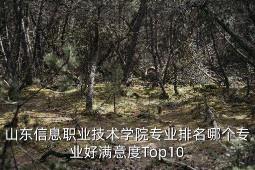 山東信息職業(yè)技術(shù)學(xué)院專業(yè)排名哪個(gè)專業(yè)好滿意度Top10