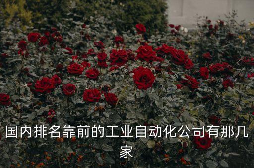 國內(nèi)排名靠前的工業(yè)自動化公司有那幾家
