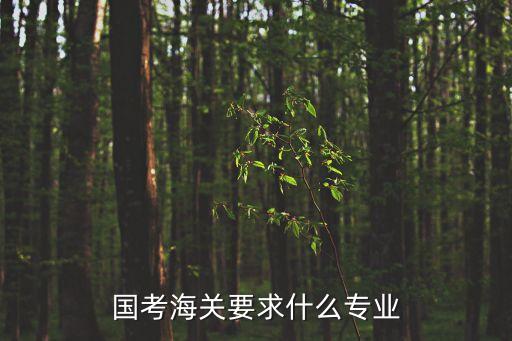 海關(guān)招自動(dòng)化專業(yè)嗎,國(guó)考:涉及海關(guān)工作最多招錄專業(yè)