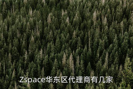 Zspace華東區(qū)代理商有幾家