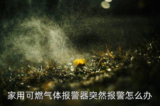 家用可燃氣體報警器突然報警怎么辦