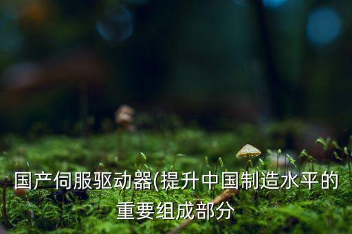 自動化設(shè)備常用的驅(qū)動器品牌,伺服驅(qū)動器哪個品牌比較好?