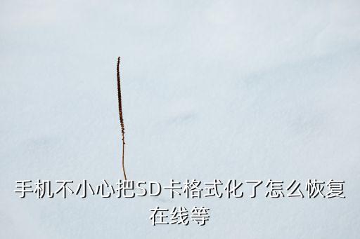 手機(jī)不小心把SD卡格式化了怎么恢復(fù)在線等