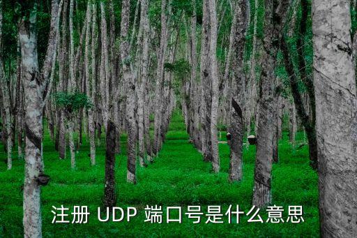 udp端口號，網絡中UDP使用的一些常見端口號