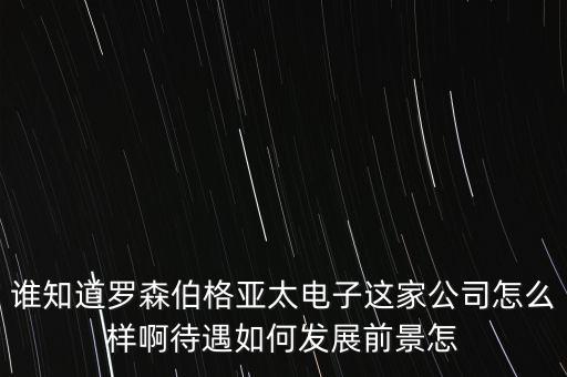 誰(shuí)知道羅森伯格亞太電子這家公司怎么樣啊待遇如何發(fā)展前景怎