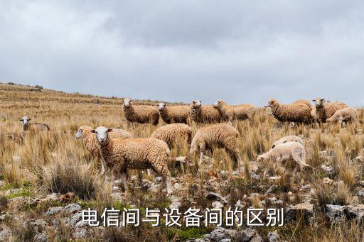 電信間與設(shè)備間的區(qū)別