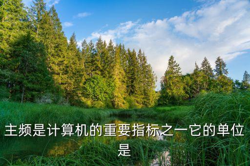 主頻是計(jì)算機(jī)的重要指標(biāo)之一它的單位是
