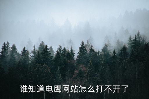 電鷹，電鷹是什么