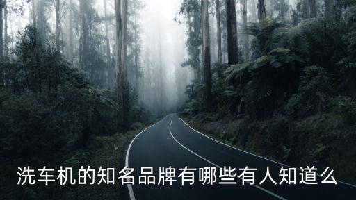 洗車機的知名品牌有哪些有人知道么