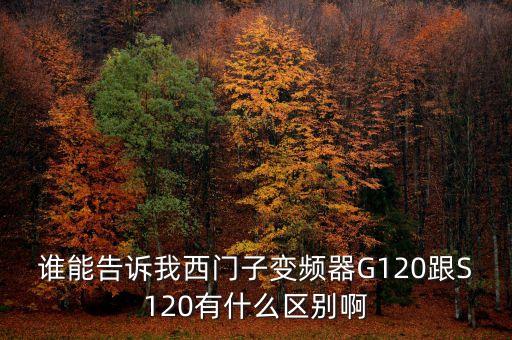 誰能告訴我西門子變頻器G120跟S120有什么區(qū)別啊