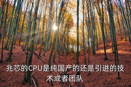 兆芯cpu,兆芯cpu是哪家上市公司?