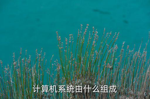 計算機(jī)系統(tǒng)由什么組成