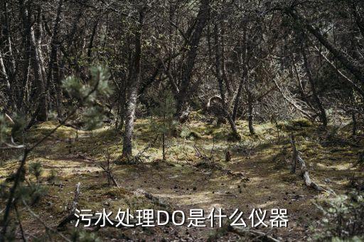 污水處理DO是什么儀器