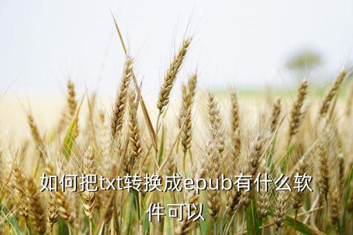 txt轉(zhuǎn)epub，如何把txt轉(zhuǎn)換成epub有什么軟件可以