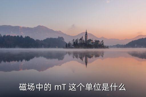磁場中的 mT 這個單位是什么