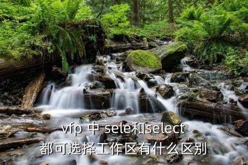 sele，vfp 中 sele和select都可選擇工作區(qū)有什么區(qū)別