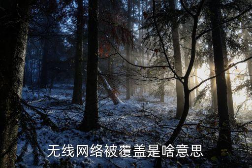 無線網(wǎng)絡(luò)被覆蓋是啥意思