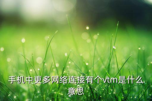 vtm，手機中更多網絡連接有個vtm是什么意思