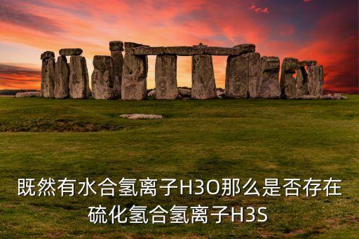 既然有水合氫離子H3O那么是否存在硫化氫合氫離子H3S