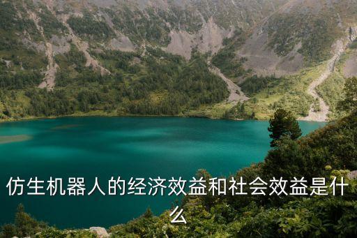仿生機器人的經(jīng)濟效益和社會效益是什么