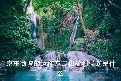 京東商城的運作方式和盈利模式是什么