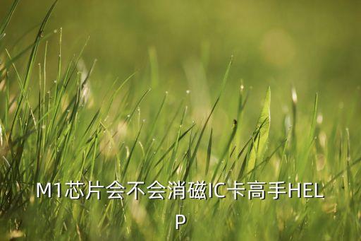 M1芯片會不會消磁IC卡高手HELP