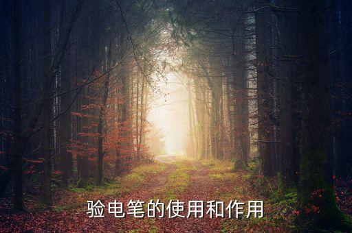 試電筆，驗(yàn)電筆的使用和作用