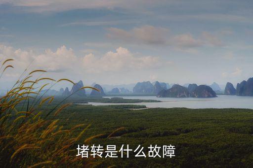 堵轉(zhuǎn)保護(hù)，什么是堵轉(zhuǎn)保護(hù)動作